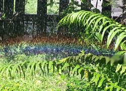 gerald-gardens photo thumbnail #3